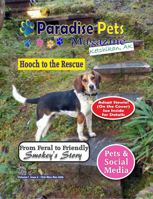 Passez à l'illimité avec Magzter GOLD