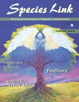 Autumn 2015 Issue 96