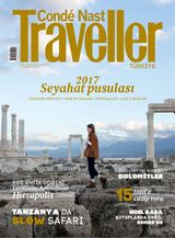Aralık 2016 - Ocak 2017