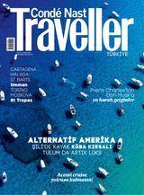 Mart 2017