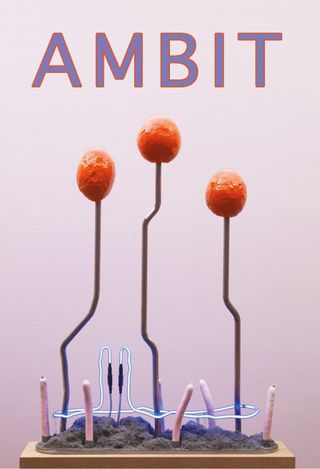 Ambit - Issue 243 Ambit Cover - Issue 243 Edition
