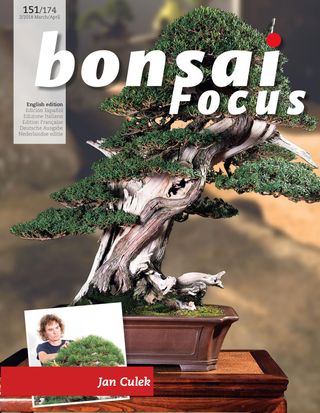 Bonsai Focus EN - May / June 2025 Bonsai Focus EN Cover - May / June 2025 Edition