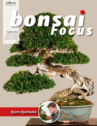 Bonsai Focus EN