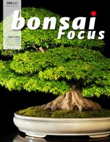 Engrais Bonsaï - GROWTH TECHNOLOGY Bonsaï Focus