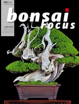 Bonsai Focus EN
