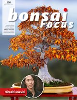Novembre / Décembre 2019