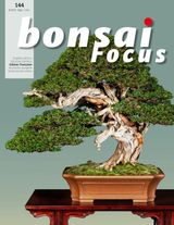 Bonsai Focus FR