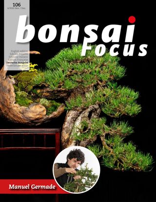 Bonsai Focus DE - Mai / Juni 2025 Bonsai Focus DE Cover - Mai / Juni 2025 Edition