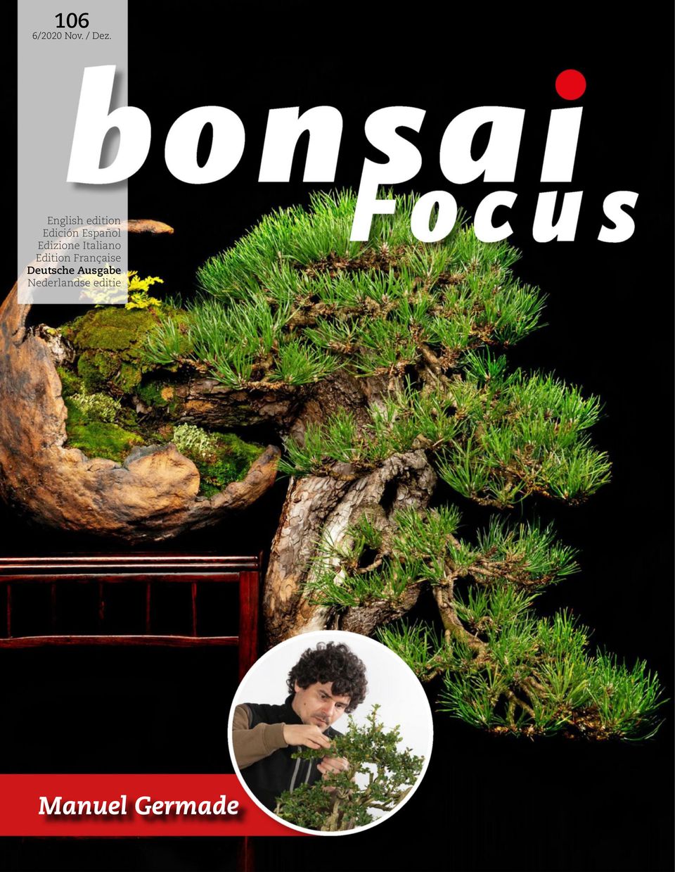 Bonsai Focus DE November / Dezember 2020
