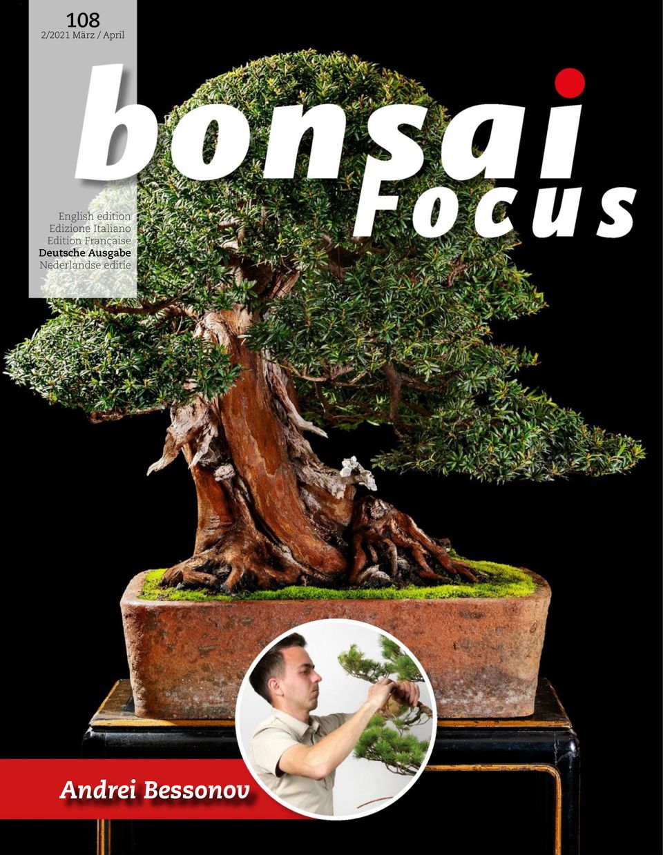 Bonsai Focus DE März / April 2021