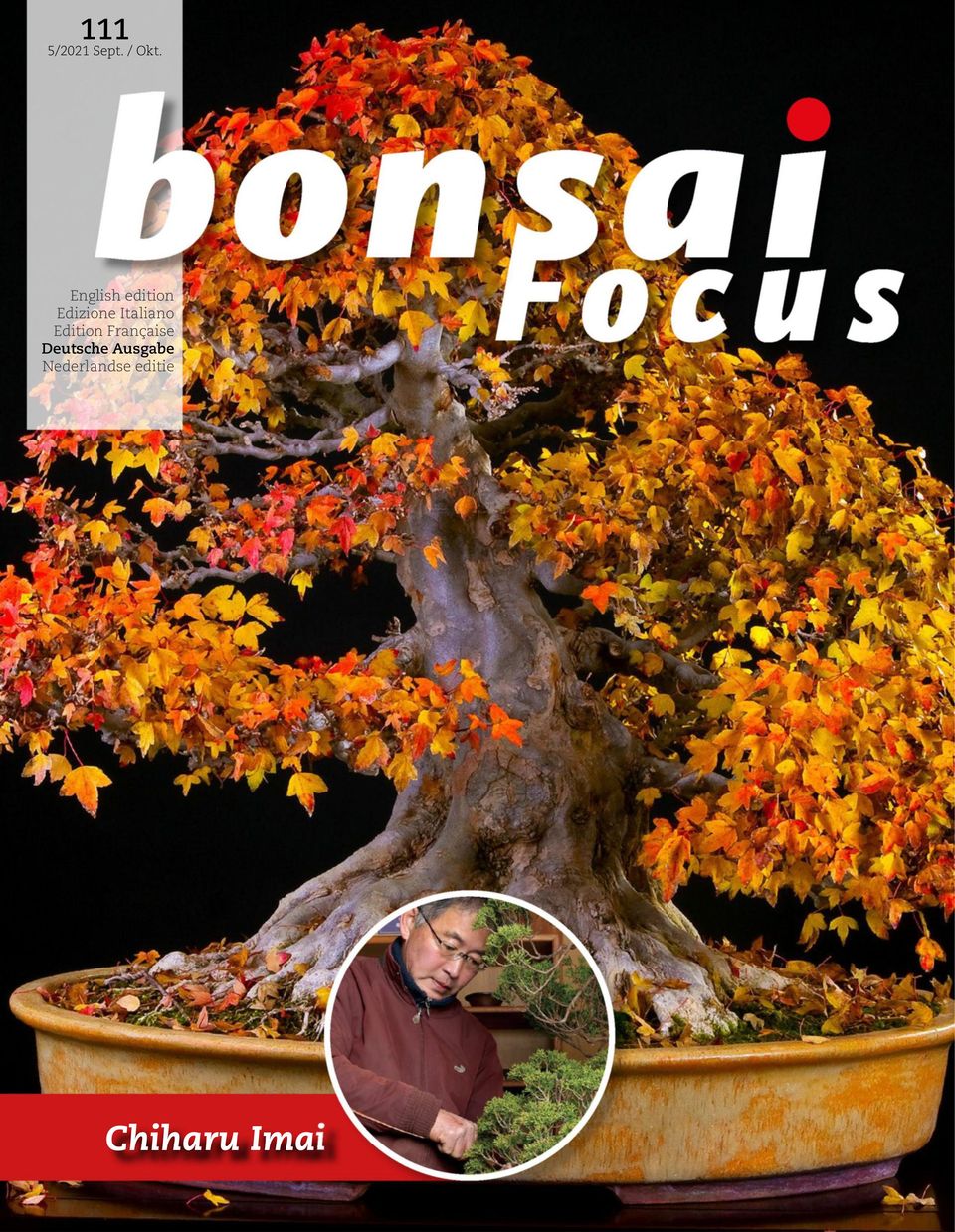 Bonsai Focus DE September / Oktober 2021