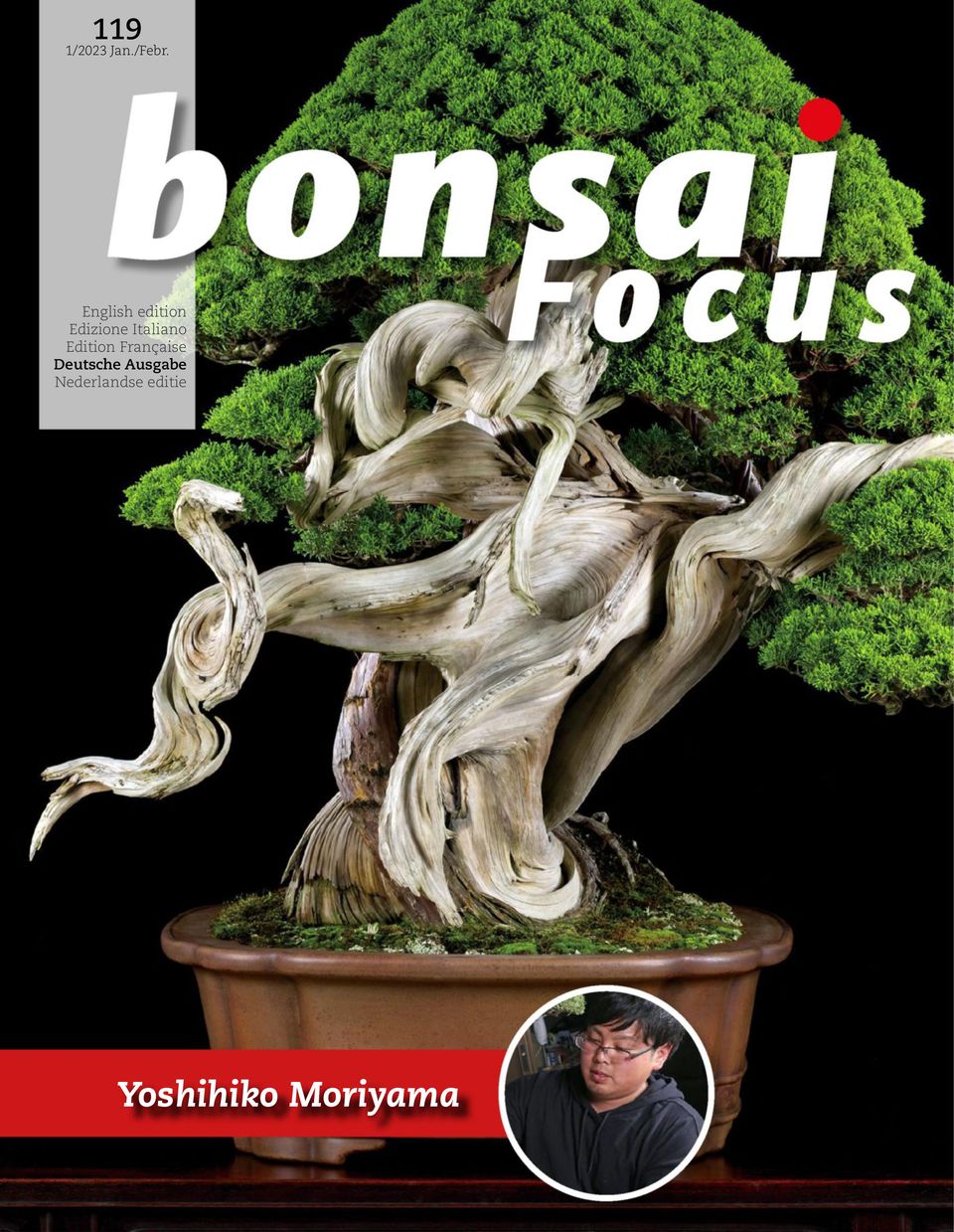Bonsai Focus DE Januar / Februar 2023