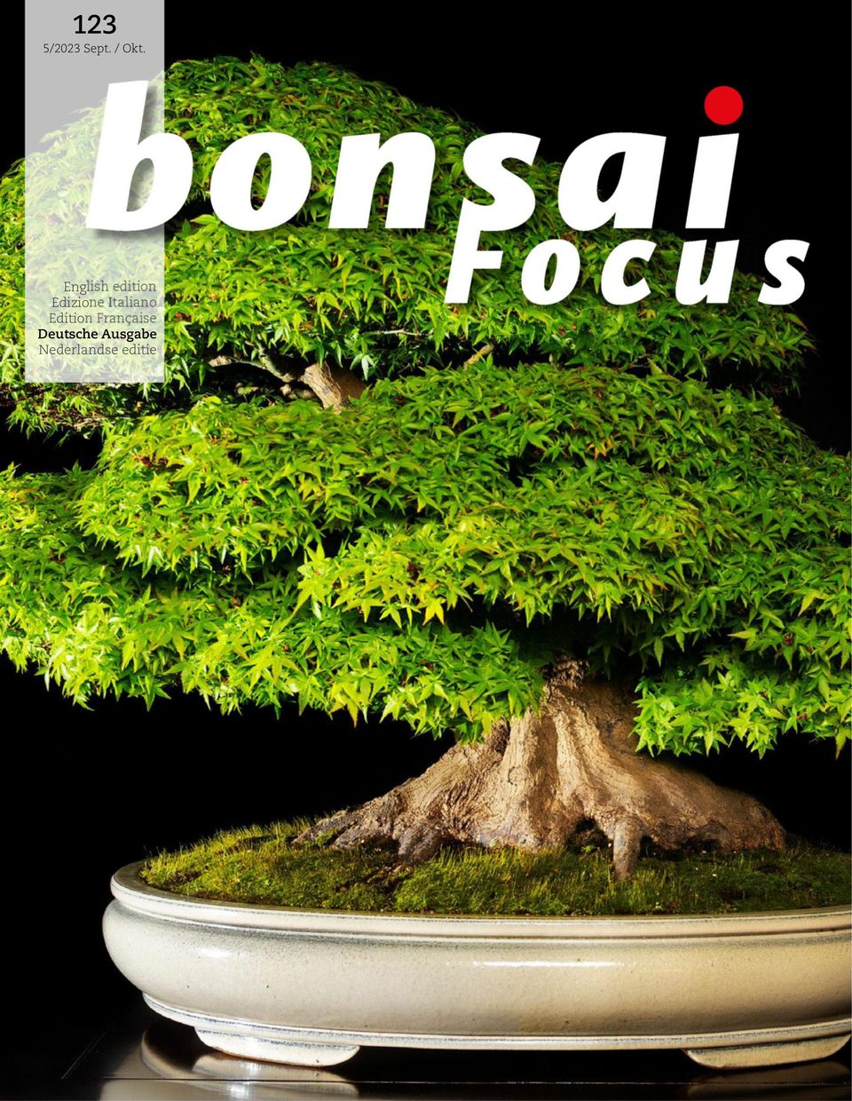 Bonsai Focus DE September / Oktober 2023