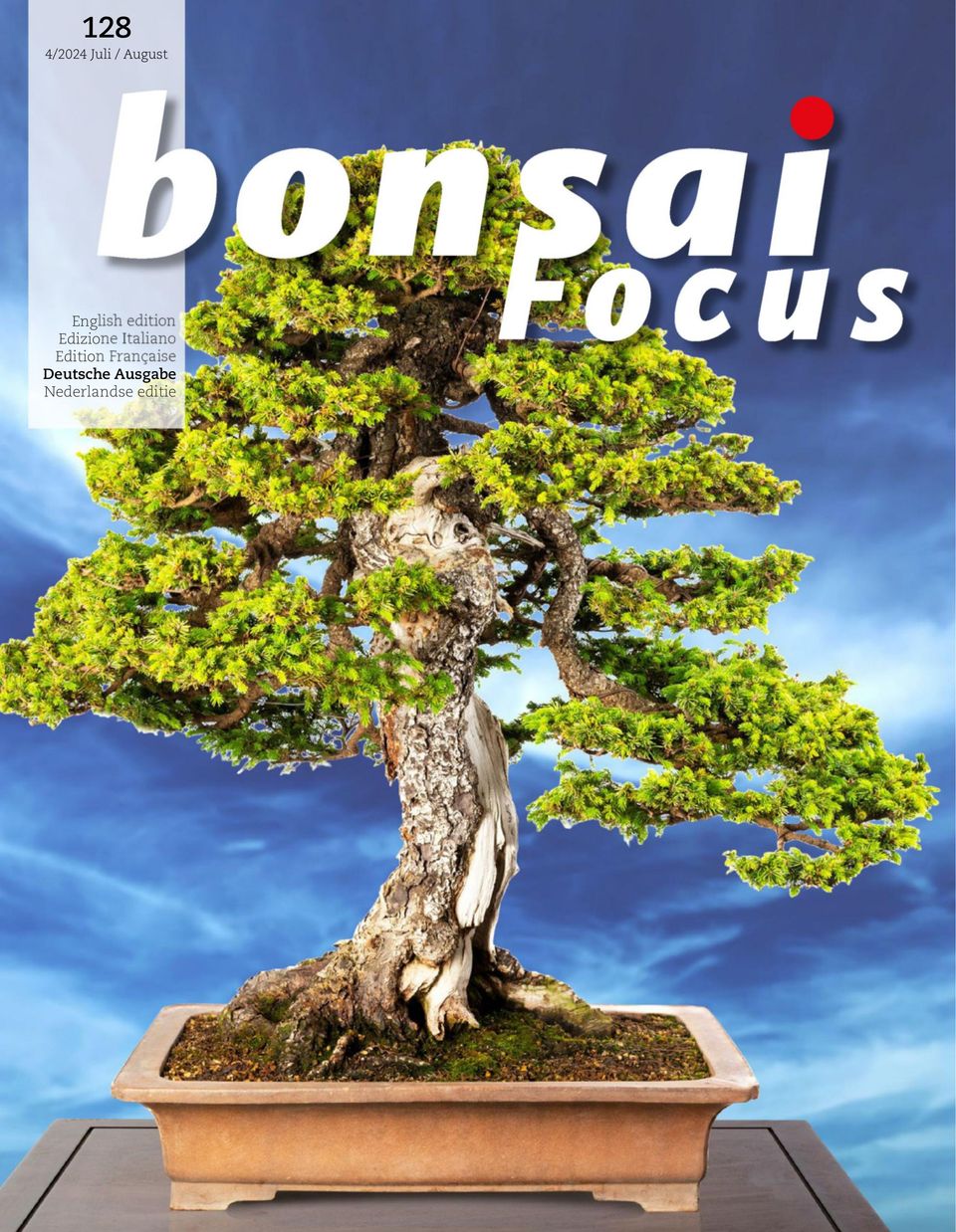 Bonsai Focus DE Juli / August 2024