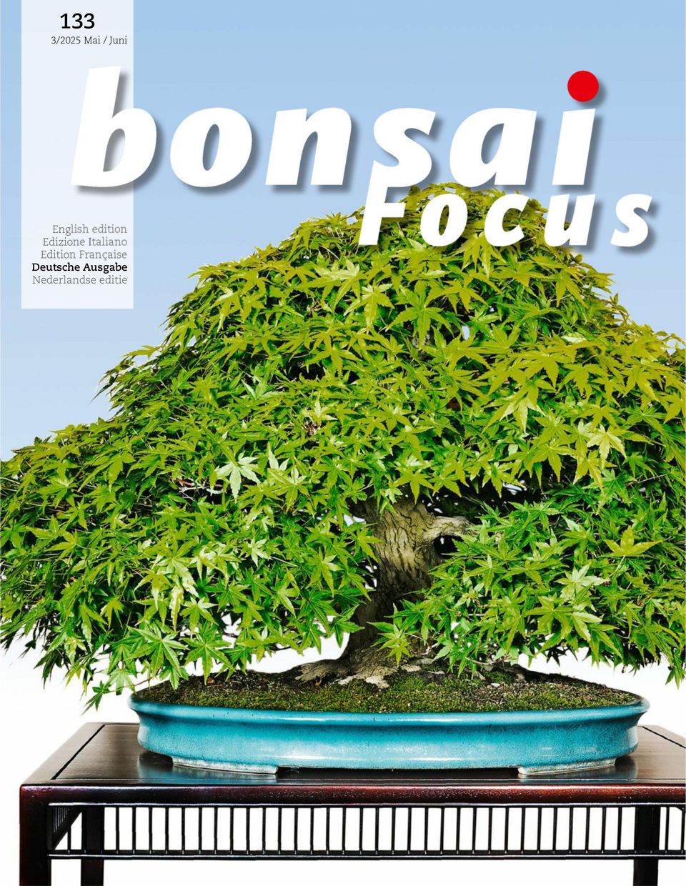 Bonsai Focus DE Mai / Juni 2025