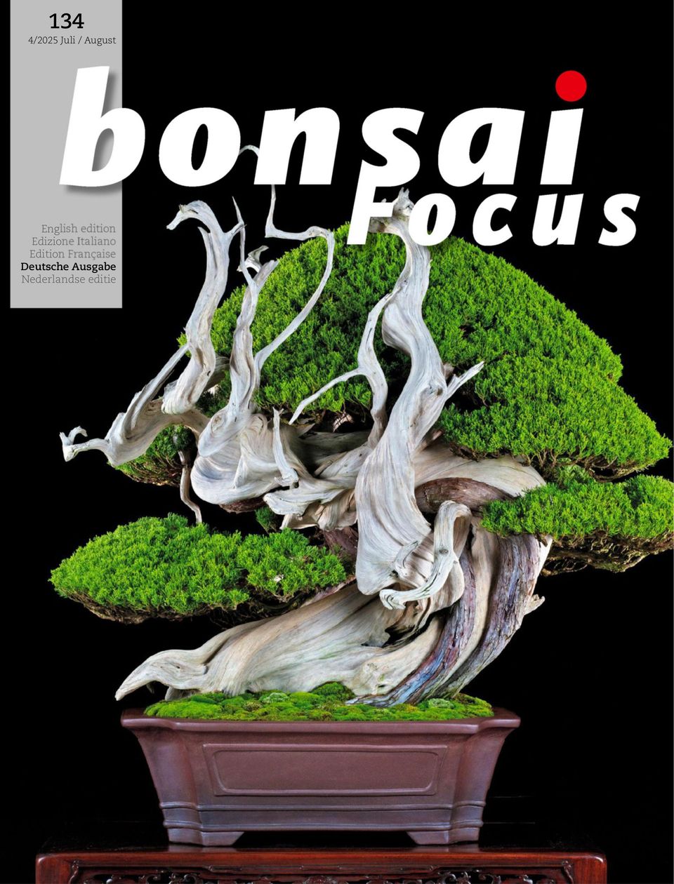 Bonsai Focus DE Juli / August 2025