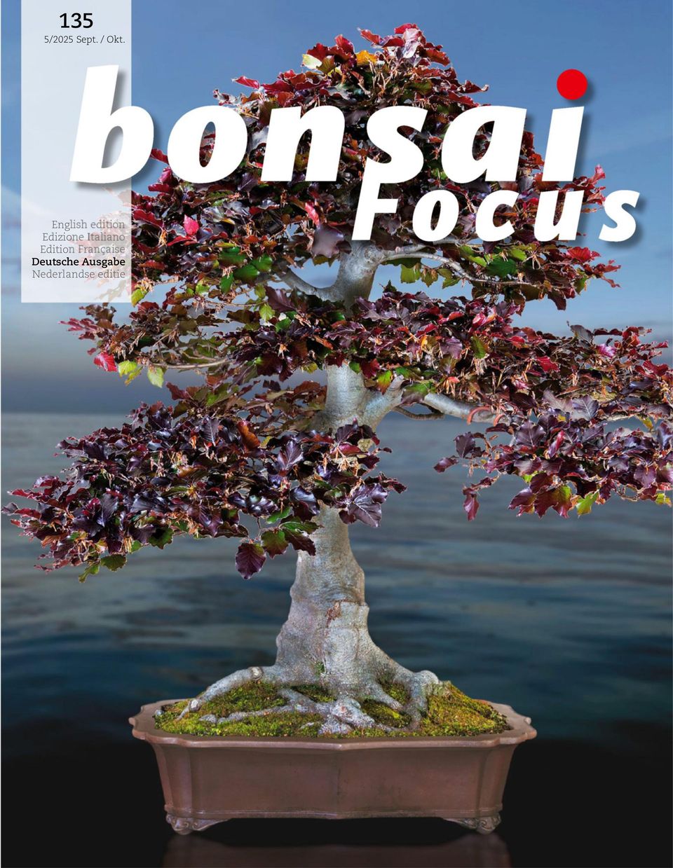 Bonsai Focus DE