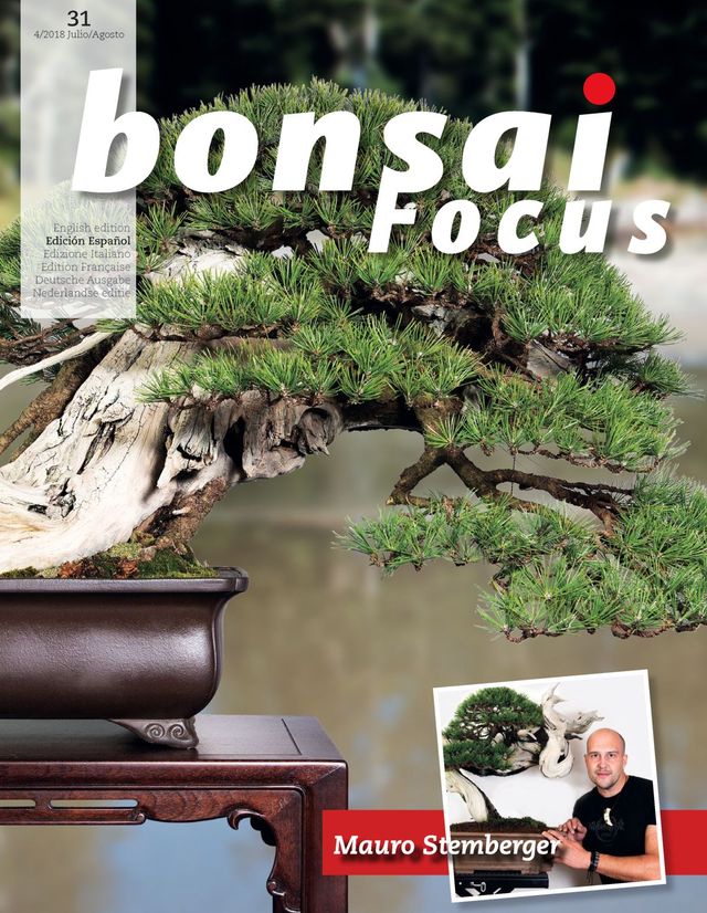 Bonsai Focus ES