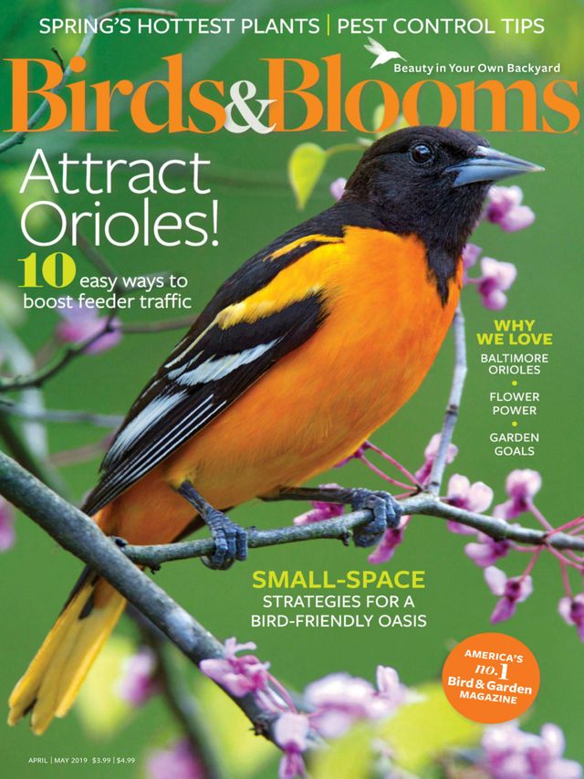 Passez à l'illimité avec Magzter GOLD