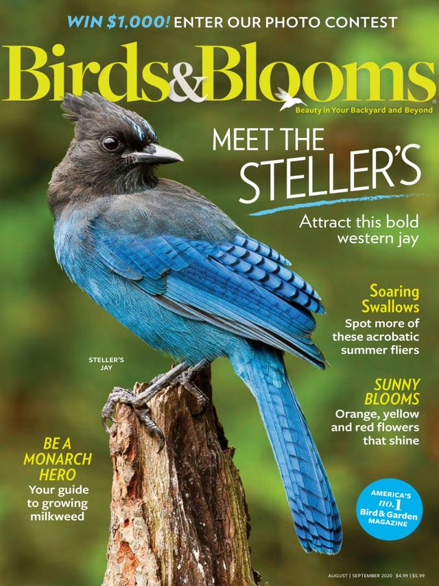 Birds & Blooms