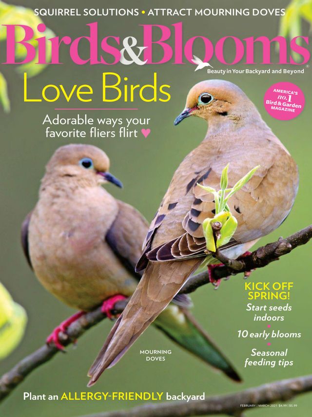Birds & Blooms