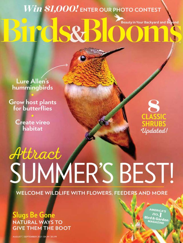 Birds & Blooms