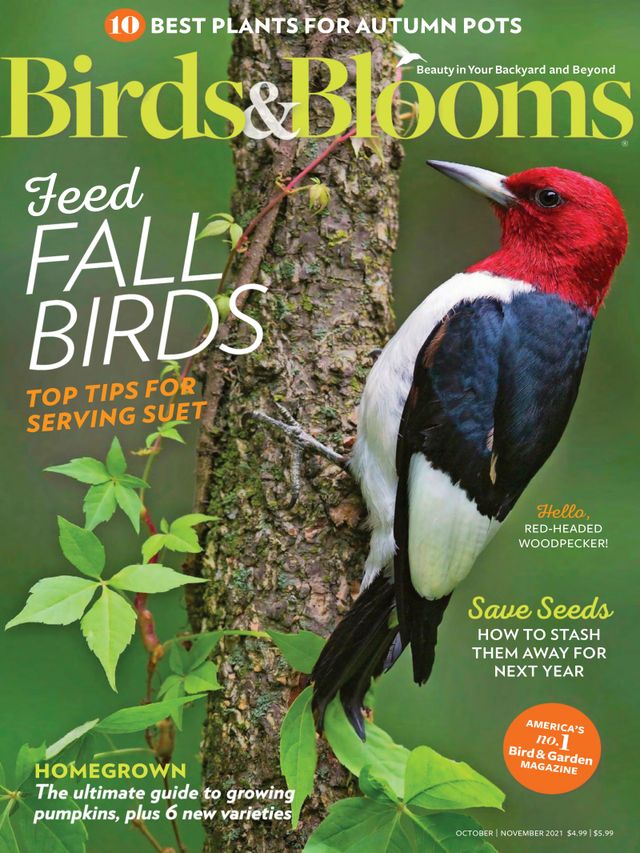 Birds & Blooms