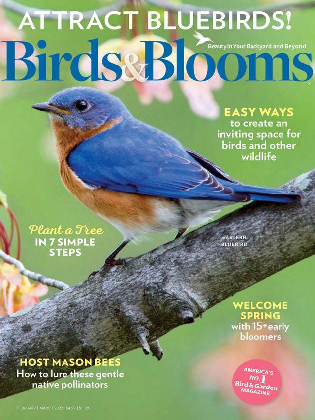 Birds & Blooms