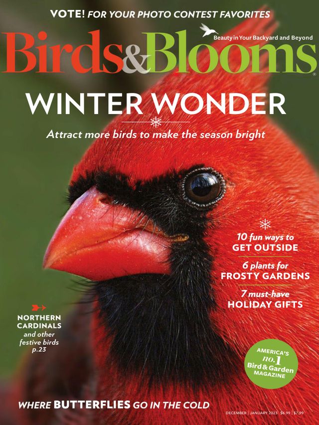 Birds & Blooms