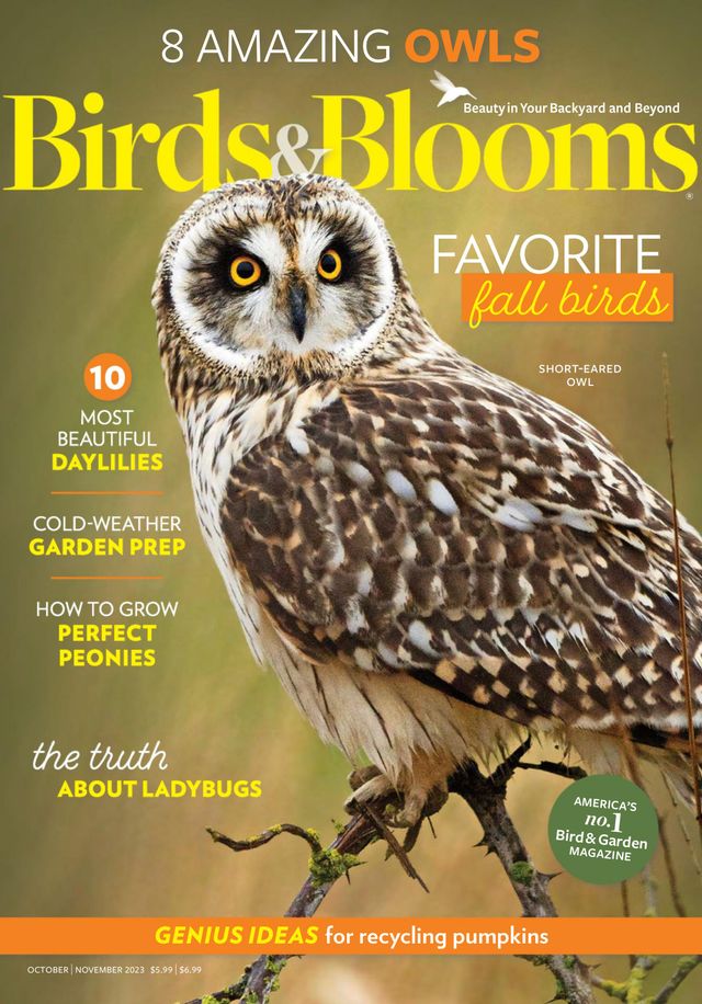 Birds & Blooms