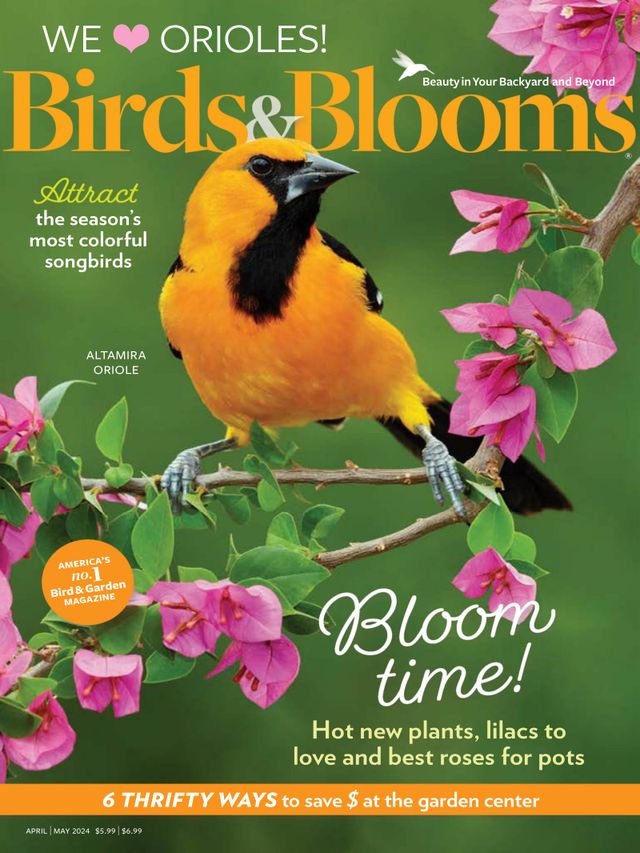 Birds & Blooms