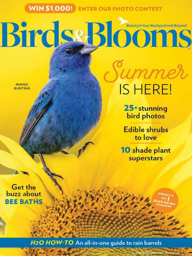 Birds & Blooms