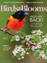 Birds & Blooms