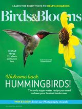 Birds & Blooms