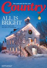 December / January 2017