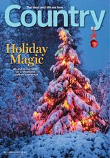 December/January 2018