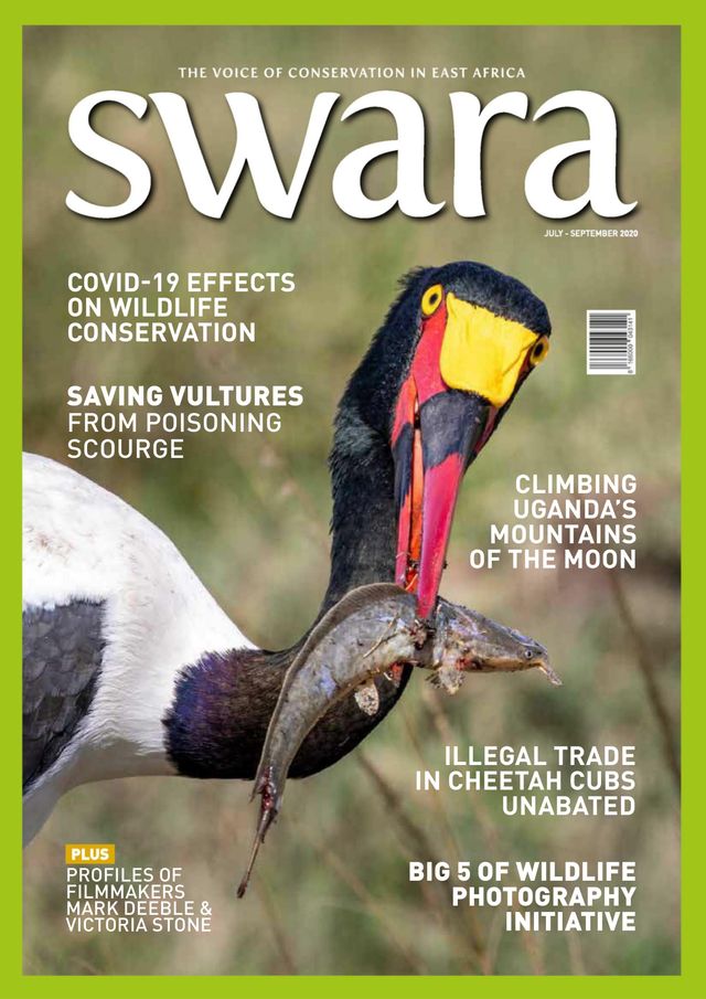 Swara