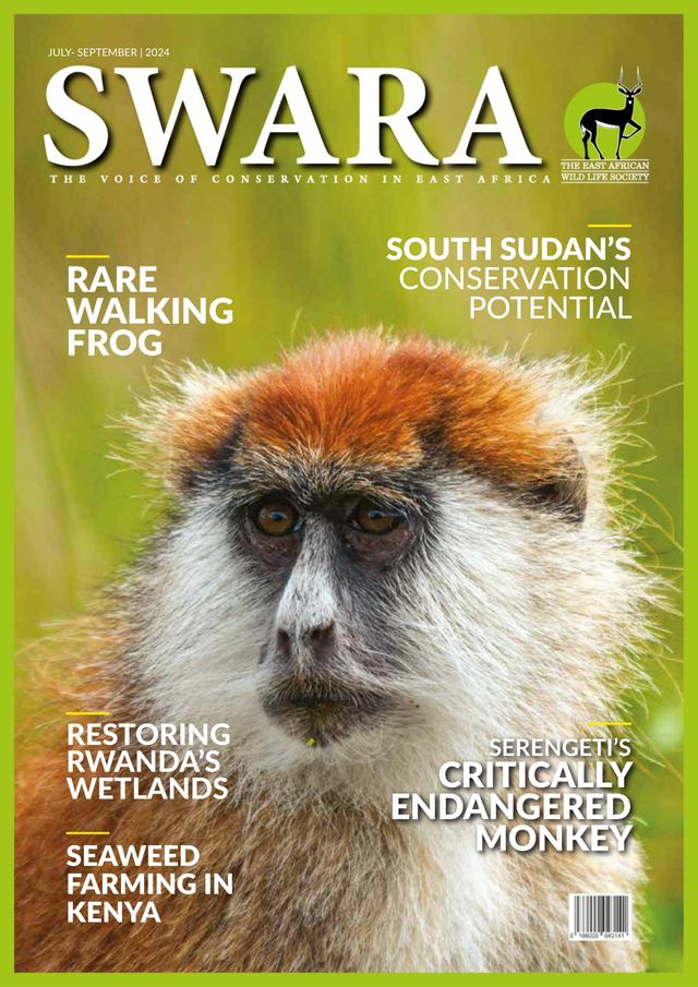 Swara