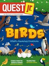 Birds  - Issue 11