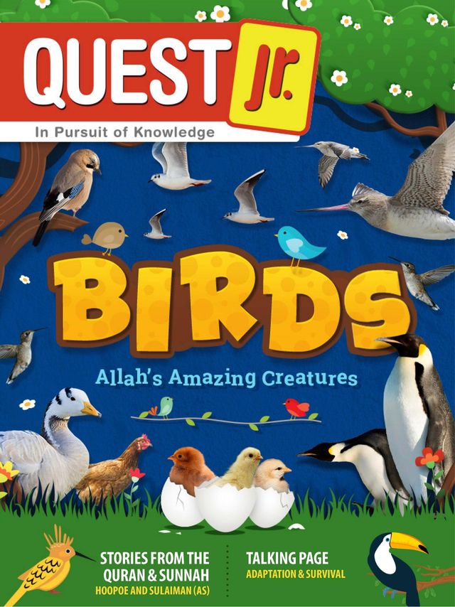 Quest Jr