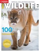 Best Wildlife Photography 2021, Special Collector’s Edition