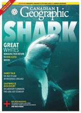 May/June 2024, Vol.144, No.3