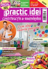 Special_Practic_Idei_Octombrie