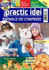 Ianuarie 2019