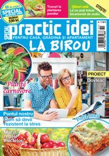 Noiembrie 2019