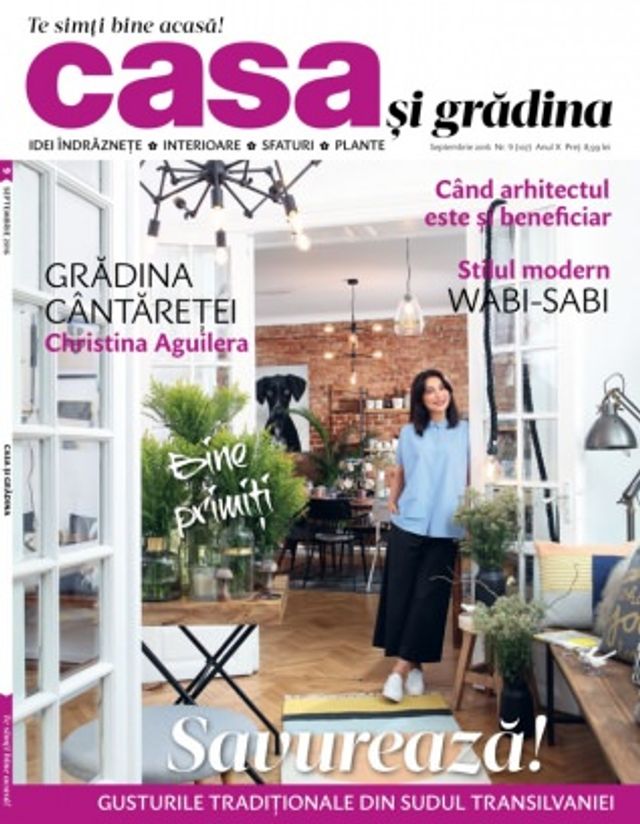 Casa si gradina
