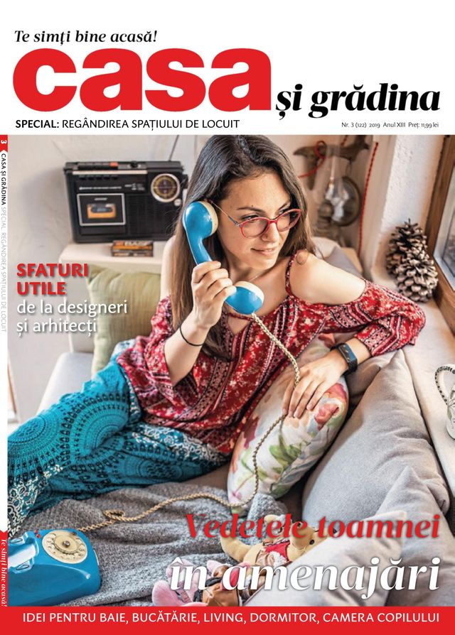 Casa si gradina