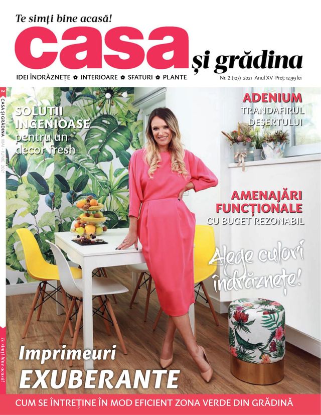 Casa si gradina