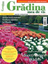 NR.05/2019