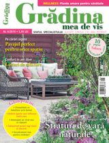 NR.06/2019
